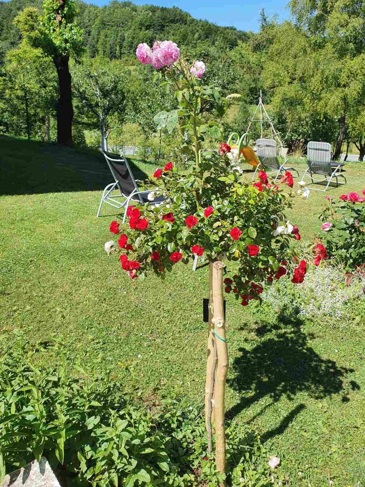 Plitvice House Milan Hotel Йезерце Екстериор снимка