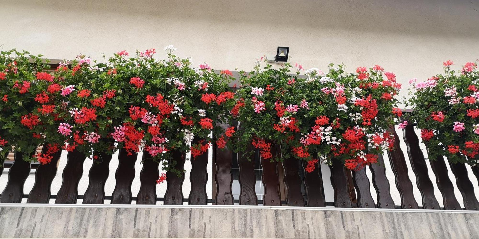 Plitvice House Milan Hotel Йезерце Екстериор снимка